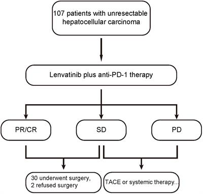 Frontiers | Lenvatinib Plus Anti-PD-1 Therapy Represents A Feasible ...